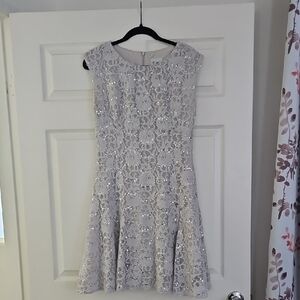 Chic Silver Lace Mini Dress